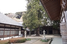 画像の説明