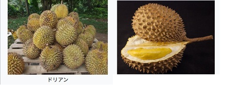 画像の説明 画像の説明